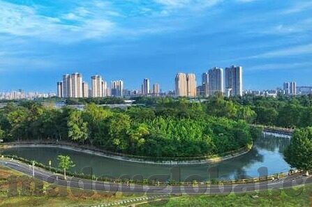 91麻豆视频免费-文章，91麻豆视频免费——网罗最新影视动态与多元内容盛宴